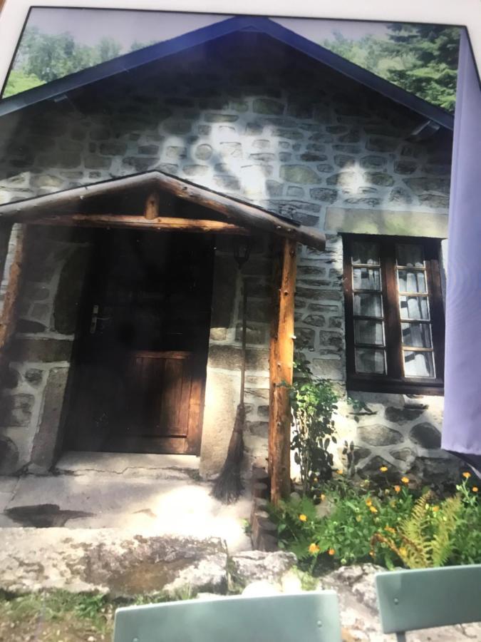 Faux-la-Montagne Woodland Cottage מראה חיצוני תמונה