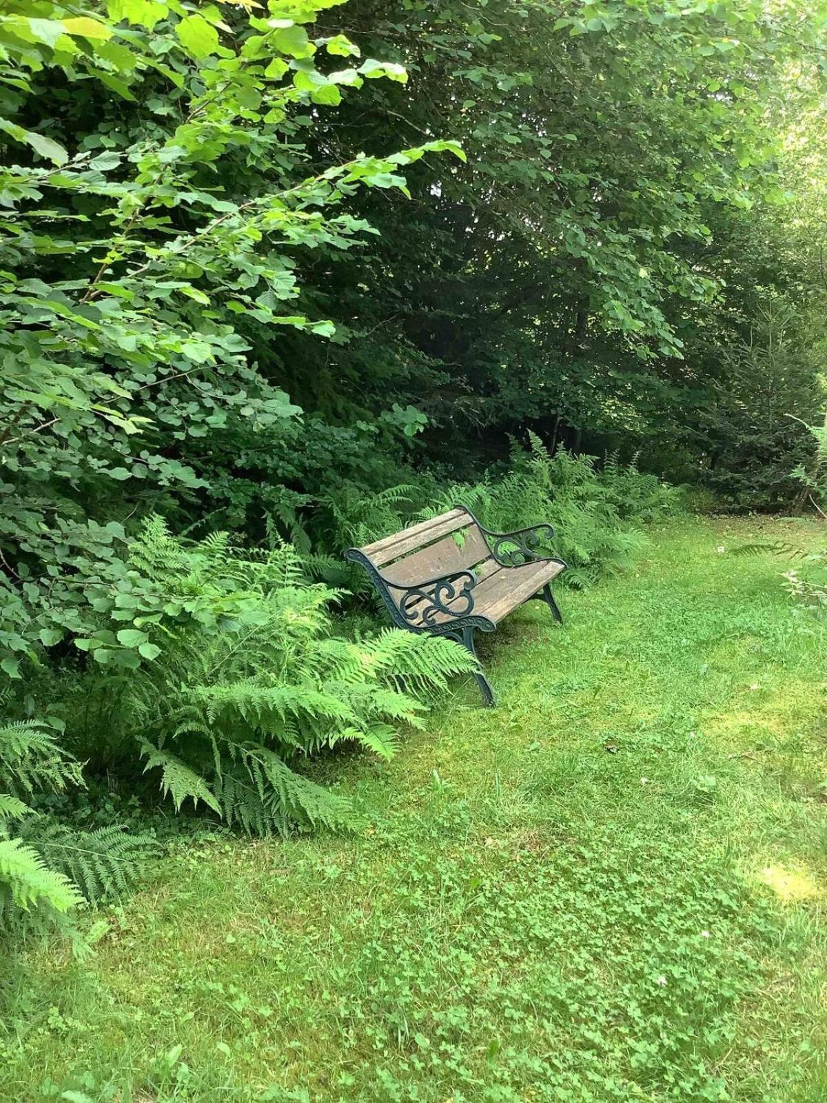 Faux-la-Montagne Woodland Cottage מראה חיצוני תמונה